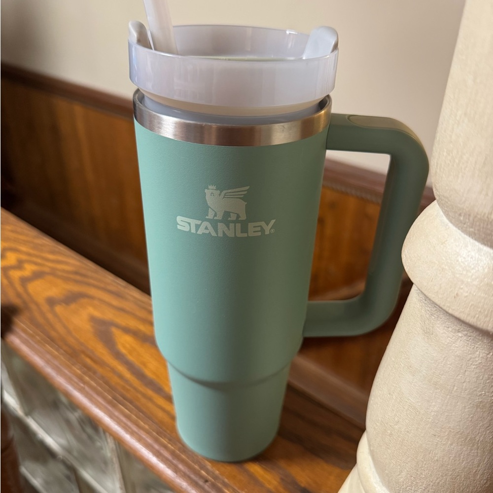 Stanley Green Dining Mug with Matte Finish